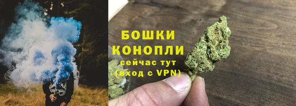 дурь Медвежьегорск