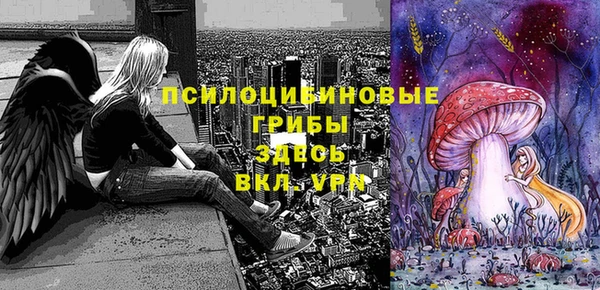 дурь Медвежьегорск