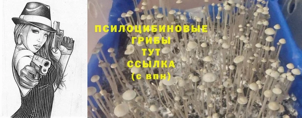 амфетамин Медногорск