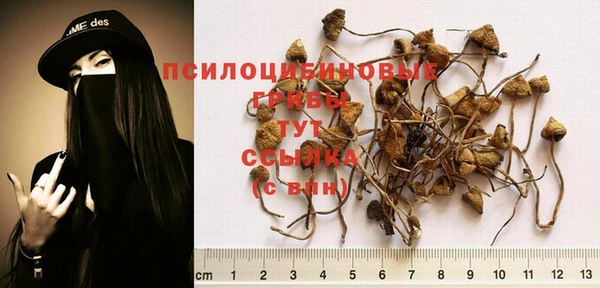 амфетамин Медногорск