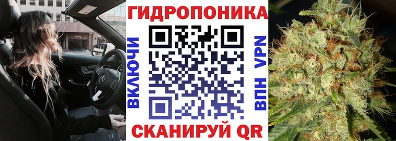 Бошки марихуана Amnesia  где купить наркоту  Пучеж 